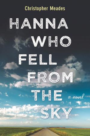 Cover of the book Hanna Who Fell from the Sky by Ellen Keith