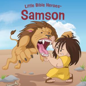 Cover of the book Samson by Patti M. Hummel