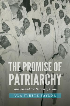 Cover of the book The Promise of Patriarchy by Blain Roberts