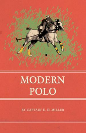 Cover of the book Modern Polo by Anon