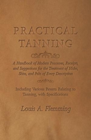 Cover of the book Practical Tanning by Louisa Walker