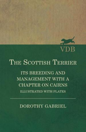 Cover of the book The Scottish Terrier - It's Breeding and Management With a Chapter on Cairns - Illustrated with plates by Various