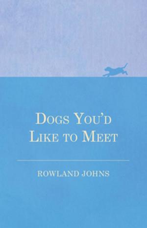 Cover of the book Dogs You'd Like to Meet by M. R. James