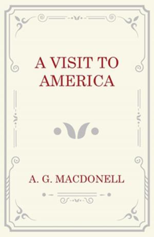Cover of the book A Visit to America by Guy de Mauspassant