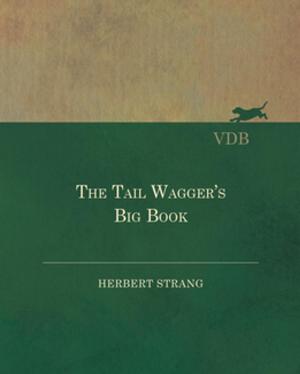 Book cover of The Tail Wagger's Big Book