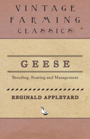 Cover of the book Geese - Breeding, Rearing and Management by Fred M. White