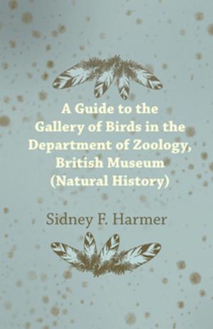 Cover of the book Guide to the Gallery of Birds in the Department of Zoology, British Museum (Natural History). by S. W. Erdnase