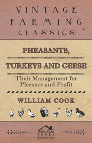 bigCover of the book Pheasants, Turkeys and Geese: Their Management for Pleasure and Profit by 
