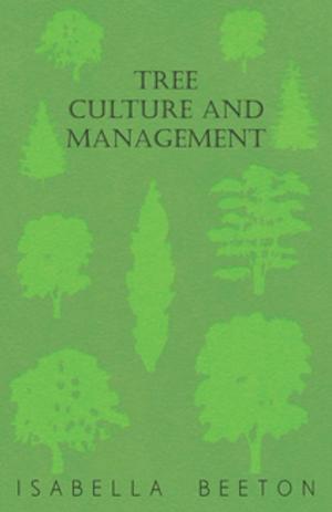 Book cover of Tree Culture and Management