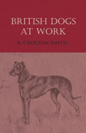 Book cover of British Dogs at Work