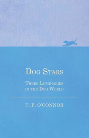 Book cover of Dog Stars - Three Luminaries in the Dog World