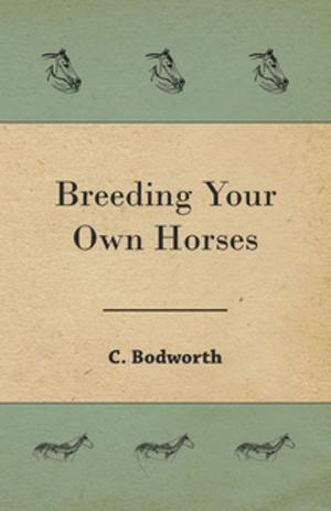 Book cover of Breeding Your Own Horses