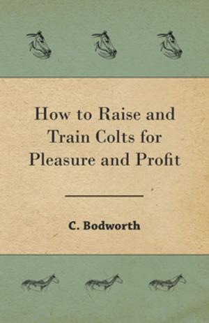 Cover of How to Raise and Train Colts for Pleasure and Profit