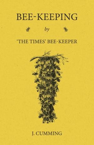 Cover of the book Bee-Keeping by 'The Times' Bee-Keeper by Ivester Lloyd