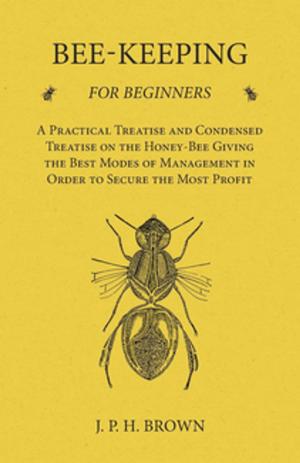 Cover of Bee-Keeping for Beginners - A Practical Treatise and Condensed Treatise on the Honey-Bee Giving the Best Modes of Management in Order to Secure the Most Profit