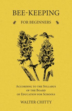 Cover of the book Bee-Keeping for Beginners - According to the Syllabus of the Board of Education for Schools by James Elroy Flecker