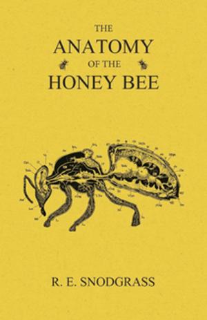Cover of the book The Anatomy of the Honey Bee by William Ernest Henley