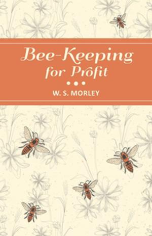 Cover of the book Bee-Keeping for Profit by John Rhys