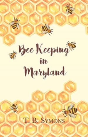 Cover of the book Bee Keeping in Maryland by David Thomson