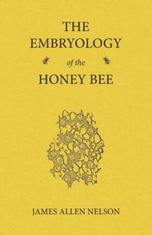 Cover of the book The Embryology of the Honey Bee by Anon