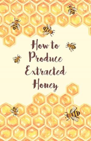 Cover of the book How to Produce Extracted Honey by Annie Barnett