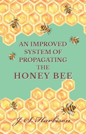 Cover of the book An Improved System of Propagating the Honey Bee by Amelia Carruthers