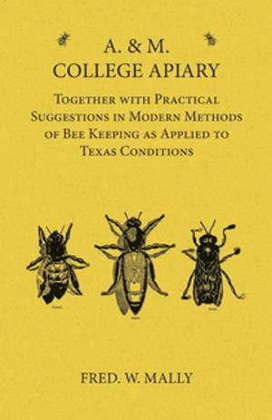 Cover of the book A. & M. College Apiary - Together with Practical Suggestions in Modern Methods of Bee Keeping as Applied to Texas Conditions by Charlotte Perkins Gilman
