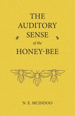 Cover of the book The Auditory Sense of the Honey-Bee by Luther Burbank