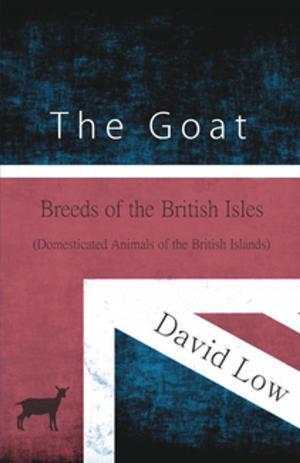 Book cover of The Goat - Breeds of the British Isles (Domesticated Animals of the British Islands)