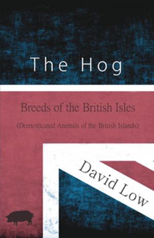 Book cover of The Hog - Breeds of the British Isles (Domesticated Animals of the British Islands)