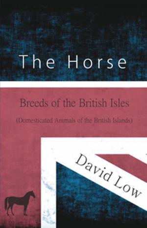 Book cover of The Horse - Breeds of the British Isles (Domesticated Animals of the British Islands)