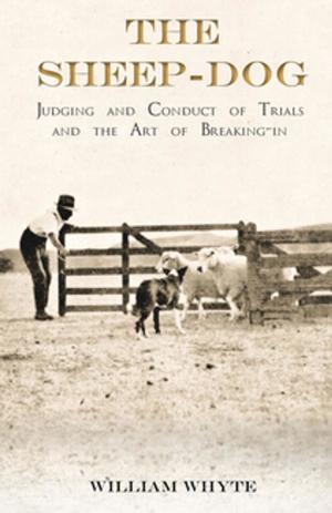 Cover of the book The Sheep-Dog - Judging and Conduct of Trials and the Art of Breaking-in by Julian Duguid