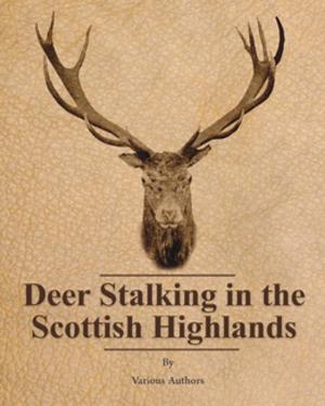 Book cover of Deer Stalking in the Scottish Highlands