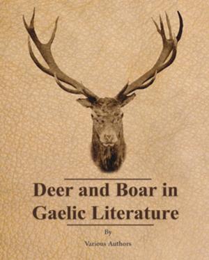 Cover of the book Deer and Boar in Gaelic Literature by Brian Harley