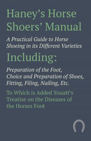 bigCover of the book Haney's Horse Shoers' Manual by 