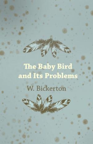 bigCover of the book The Baby Bird and Its Problems by 