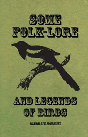 Cover of the book Some Folk-Lore and Legends of Birds by Anon