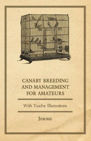 Cover of the book Canary Breeding and Management for Amateurs with Twelve Illustrations by O. Heidenstam