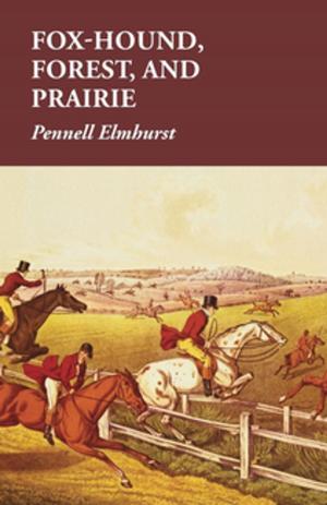 Cover of the book Fox-Hound, Forest, and Prairie by Jared William Carter