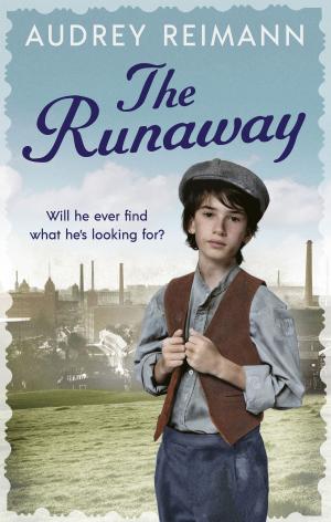 Cover of the book The Runaway by Alan Macfarlane, Iris Macfarlane