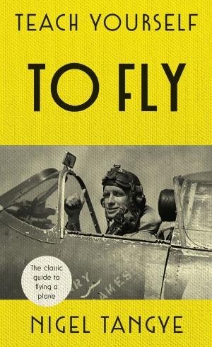 Cover of the book Teach Yourself to Fly by Alister McGrath