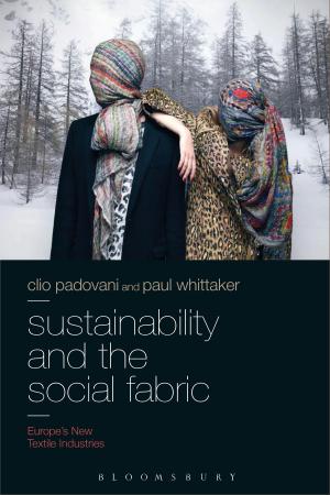 Book cover of Sustainability and the Social Fabric