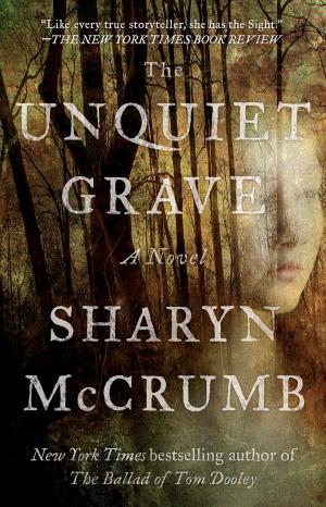 Book cover of The Unquiet Grave