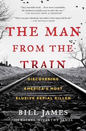 Cover of the book The Man from the Train by Robin Furth
