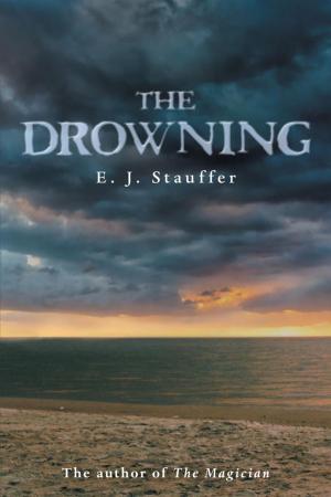 bigCover of the book The Drowning by 
