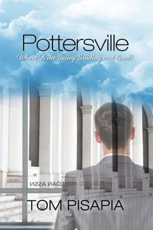Cover of the book Pottersville by Janet Smith