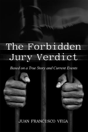 Cover of the book The Forbidden Jury Verdict by Dr. Zohraida Sibtain Karim