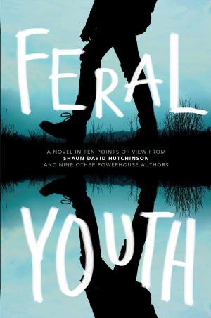 Cover of the book Feral Youth by Lisa Schroeder