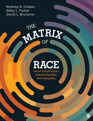 Cover of the book The Matrix of Race by Richards J. Heuer, Randolph H. Pherson