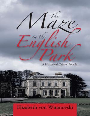 Cover of the book The Maze In the English Park: A Historical Crime Novella by Joseph DeMark